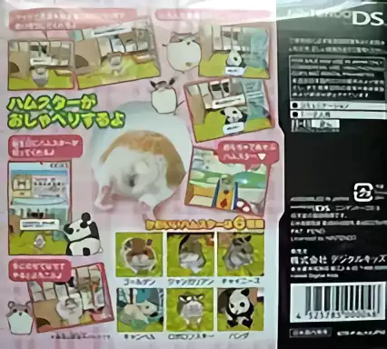 Image n° 2 - boxback : Love Love Hamster